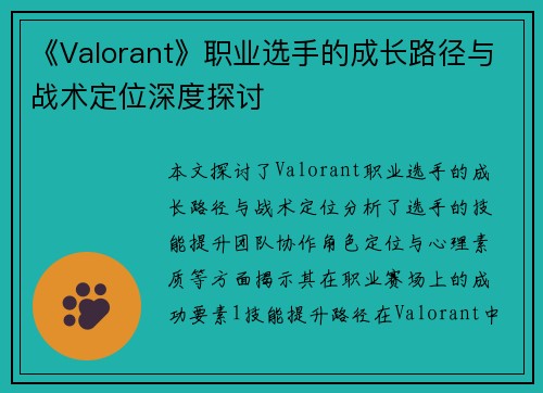 《Valorant》职业选手的成长路径与战术定位深度探讨